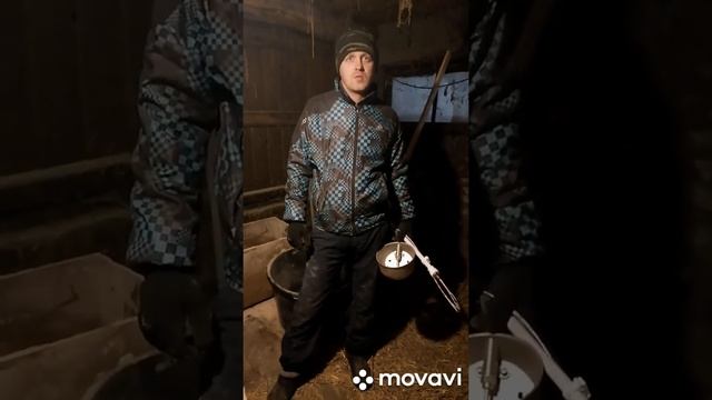 Как мы кормим свиней. Часть первая. Миллион на свиньях. смотреть онлайн