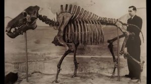 Энтелодонт | АДСКИЙ КАБАН