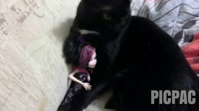 Дракулаура гладит кота смотреть онлайн