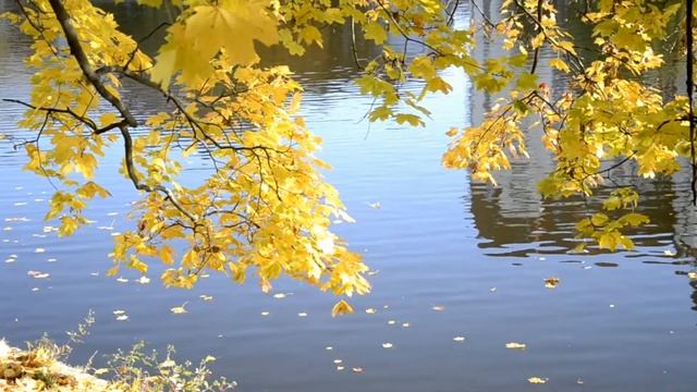 Стихи немецких поэтов о Кёнигсберге. Симон Дах. #1 смотреть онлайн