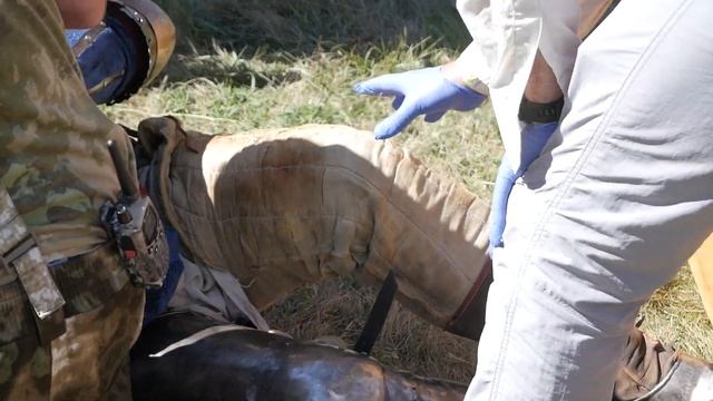 Фестиваль «Великий Болгар». Как я побывал впервые в столице Волжской Булгарии смотреть онлайн