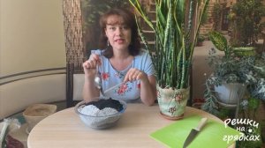 Сансевиерия - Тещин язык - Щучий хвост | Уход, Размножение и Пересадка