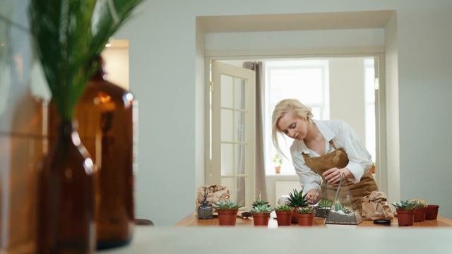 Succulents - Flowers of desert смотреть онлайн