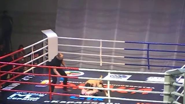 Первый бой на Drake,в весе 60 килограмм! смотреть онлайн