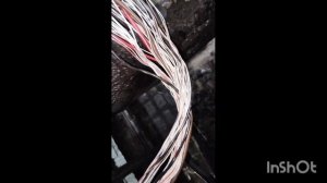 Шакман Х3000 сами по себе загораются фонари заднего хода.mp4