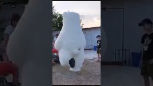 День Рождения РОМЫ