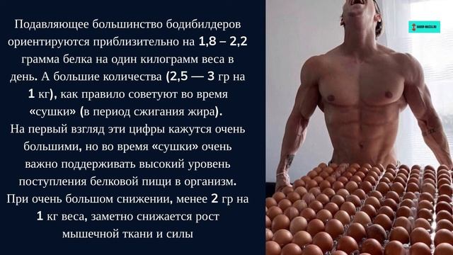 Белок для набора мышечной массы — сколько, зачем и когда