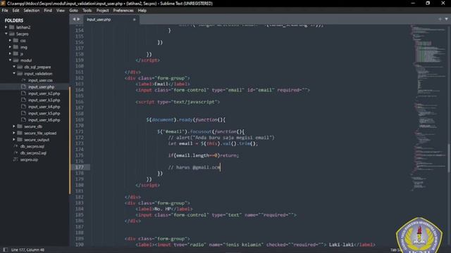 Secure Programming _ Securing Input String Number Date and File Upload with JS, JQuery, and PHP смотреть онлайн