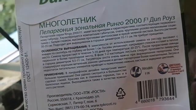 ПЕЛАРГОНИЯ ЗОНАЛЬНАЯ. РИНГО 2000 F1 ДИП РОУЗ. ПЕРВОЕ ДОМАШНЕЕ ЦВЕТЕНИЕ. СЕМЕНА Darit. смотреть онлайн
