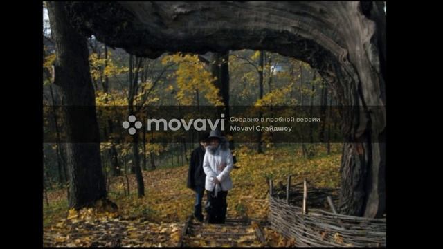 Осенняя прогулка. Музей-усадьба Л. Н. Толстого «Ясная Поляна