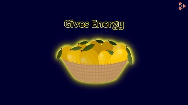 Mitochondria - Powerhouse of the Cell | Don't Memorise смотреть онлайн
