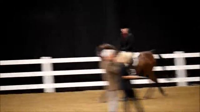 PKH Fames Montana смотреть онлайн