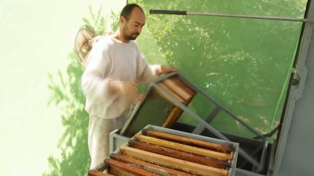 ЛЕПИЛЫ. Передвижной мини цех по откачке мёда смотреть онлайн