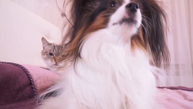 ДОЛОГ ДЕНЬ ДО ВЕЧЕРА, коли делать нечего… Веселый ЮКИ и ПОСЛОВИЦЫ