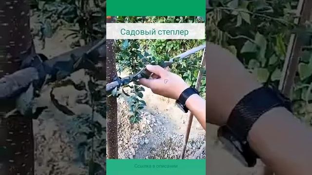 Садовый инструмент для вязания растений | Тапенер | Садовый степлер