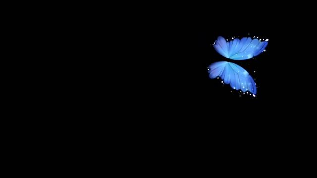 Butterfly flying background black смотреть онлайн