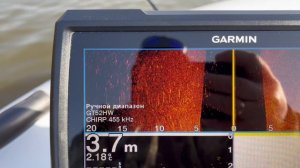 Гармин Страйкер Вивид