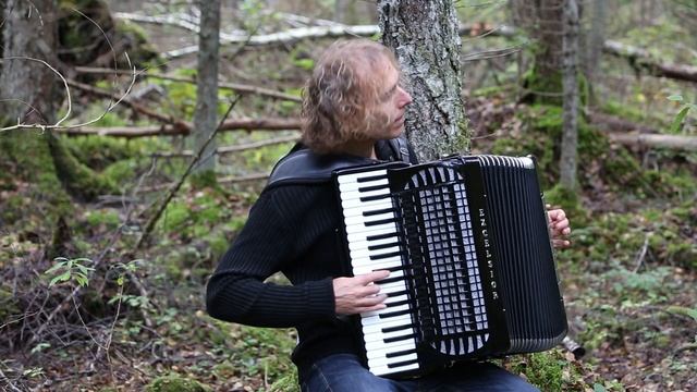Kalev Tilk - accordion - OLD FRENCH (Irish) смотреть онлайн