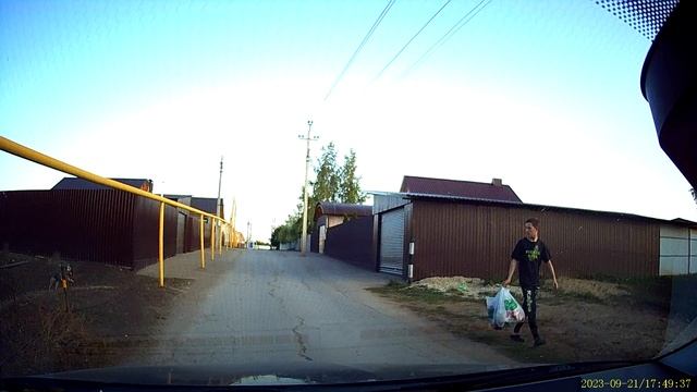 Как собаки попадают под колеса How dogs get hit by wheels смотреть онлайн