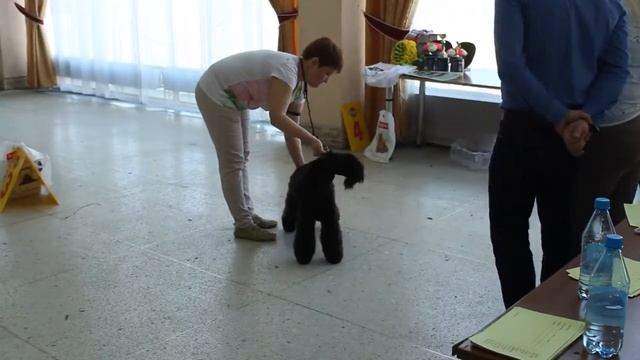 Моно КБТ Новосибирск 29.04.2017 - сука, промежуток смотреть онлайн