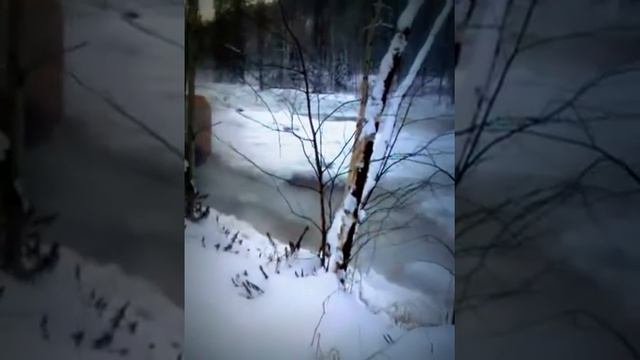 Замерзшие колодки Экспедиция на базу Верхний урях