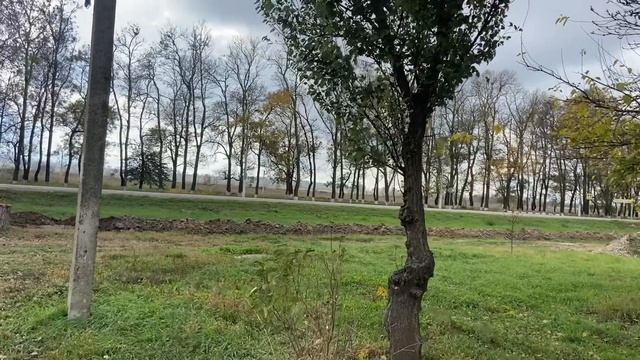 04.11.22. Ремонт каждый день. смотреть онлайн