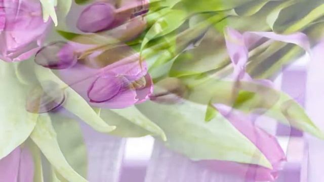 Поздравление С Днем рождения для дочери смотреть онлайн