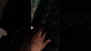 замена штатных сидений ваз 2114