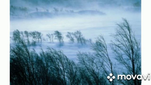 15 июня - Всемирный день ветра. Беседу провела воспитатель группы №9 "Ландыш" Коротнян А.И. смотреть онлайн