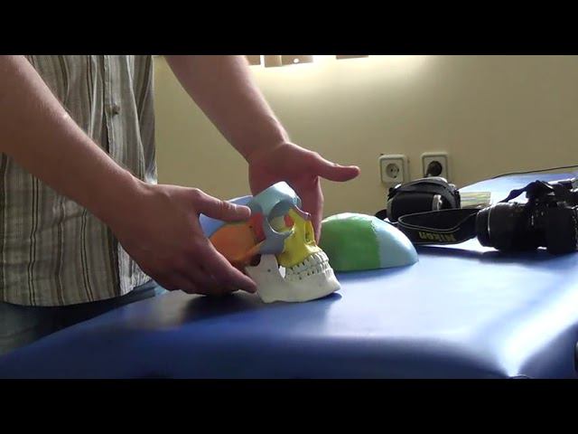 Семинар Краниосакральная терапия 1 КСТ1_23 смотреть онлайн