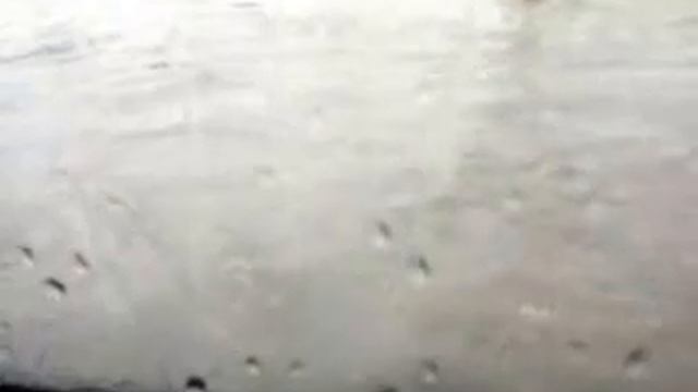 Питер плывём по дороге 17.07.2015 м.Пионерская))) смотреть онлайн