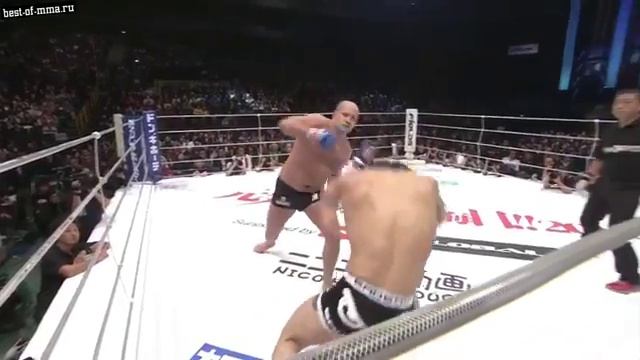 Федоре Емельяненко лучший боец в истории MMA смотреть онлайн