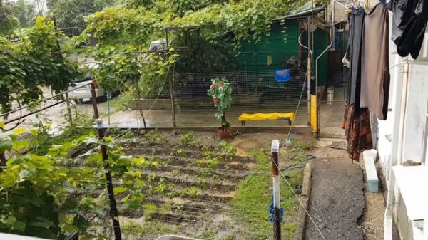 Абхазия. Гагра. Пресная вода.