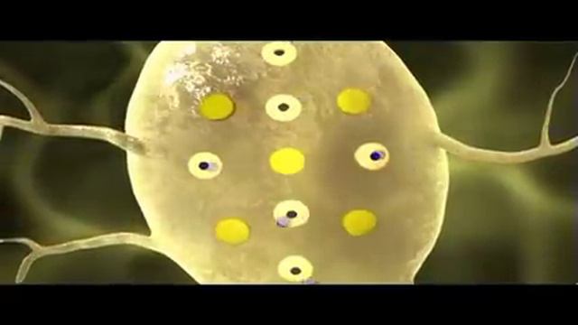 Neuron Resting Potential смотреть онлайн