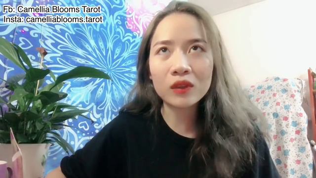 Chuyện Tình Tháng 12 || Camellia Blooms Tarot смотреть онлайн