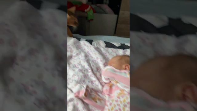 Абиссинская кошка спит рядом с младенцем