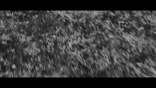 Виноградова Софья, г. Москва. "Письмо молодого военного корреспондента И. Скворцова" смотреть онлайн