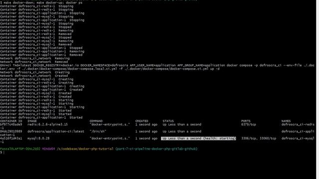 Run PHP on Docker in a CI Pipeline via Github and Gitlab [Tutorial] смотреть онлайн