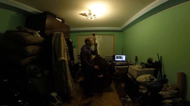 Грув шипящей змеи Hissing snake groovy смотреть онлайн