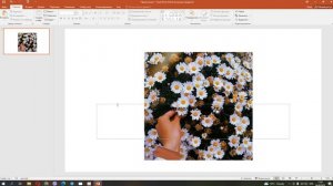 Как в поверпоинте написать текст на картинке