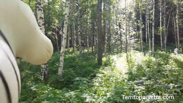 Восхождение наИремель. Тюлюк. Уральская Кругосветка. смотреть онлайн