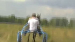 цыганский конь,Пегас ....хозяин Шалдыбин....( 89068838766)