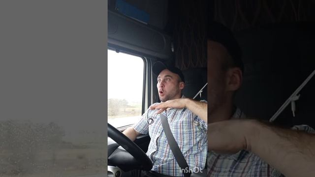 Как работает ленивец?