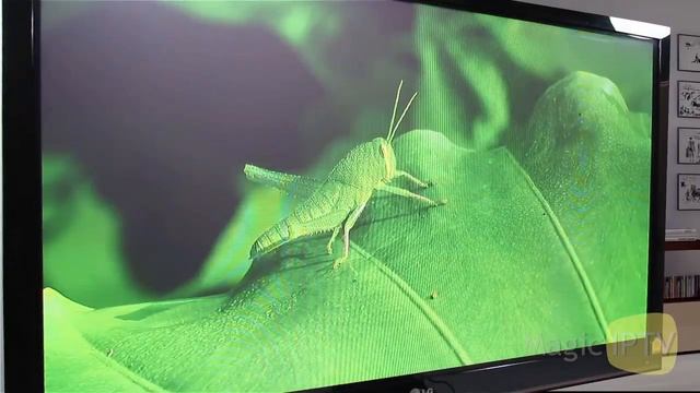 Android TV Box OTT M8 | 4K Ultra HD Video Playback смотреть онлайн