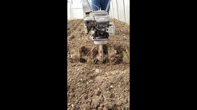 пашем парник тарпаном смотреть онлайн