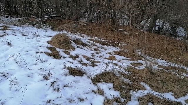 Уруп смотреть онлайн