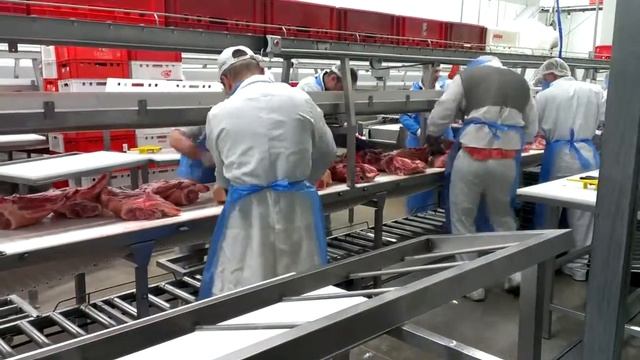 Мясной цех условия работы смотреть онлайн