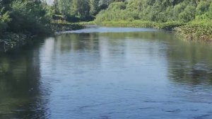 Колчак 480 Jet. Рулежка на горной речке, прохождение мели.