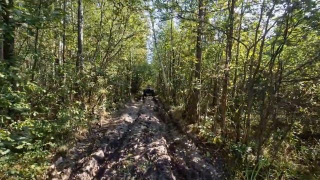 КОП ПО ВОЙНЕ/ ПРИКЛЮЧЕНИЯ НА БОЛОТОХОДЕ/ НАШЛИ РЕВОЛЬВЕР СИСТЕМЫ НАГАН. смотреть онлайн