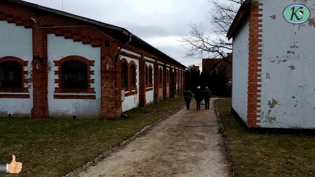 Конный завод Георгенбург 2019. Экскурсии по Калининградской области.